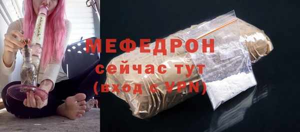 индика Дмитриев