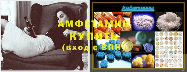 амф Дмитров