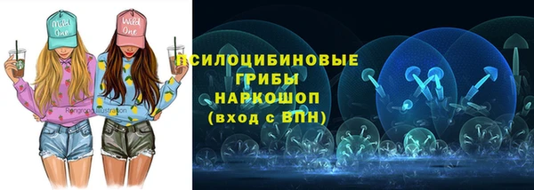 spice Абаза
