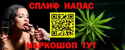 гидра Гусев