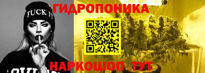 мяу мяу мука Гусь-Хрустальный