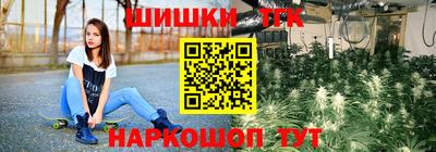 мяу мяу мука Гусь-Хрустальный