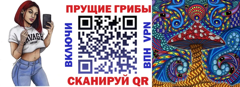 shop Telegram  Лысьва  Галлюциногенные грибы Psilocybine cubensis 